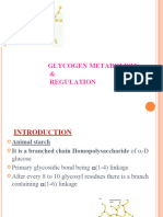 Glycogen Metabolism