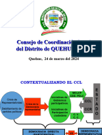 Consejo de Coordinación Local  (CCL)