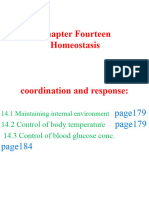 10th Grade Chapter 14 Part 1 (Homeostasis) (1)