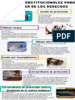 Acciones Constitucionales para La Defensa de Los Derechos