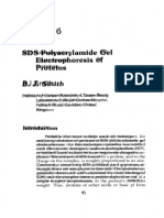 sds-polyacrylamide-gel-electrophoresis-of-proteins (1)