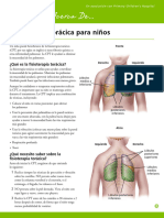 Chest Physical Therapy For Children (Let's Talk About... Pediatric Brochure) Spanish