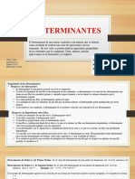 M5.2.2 Determinantes.