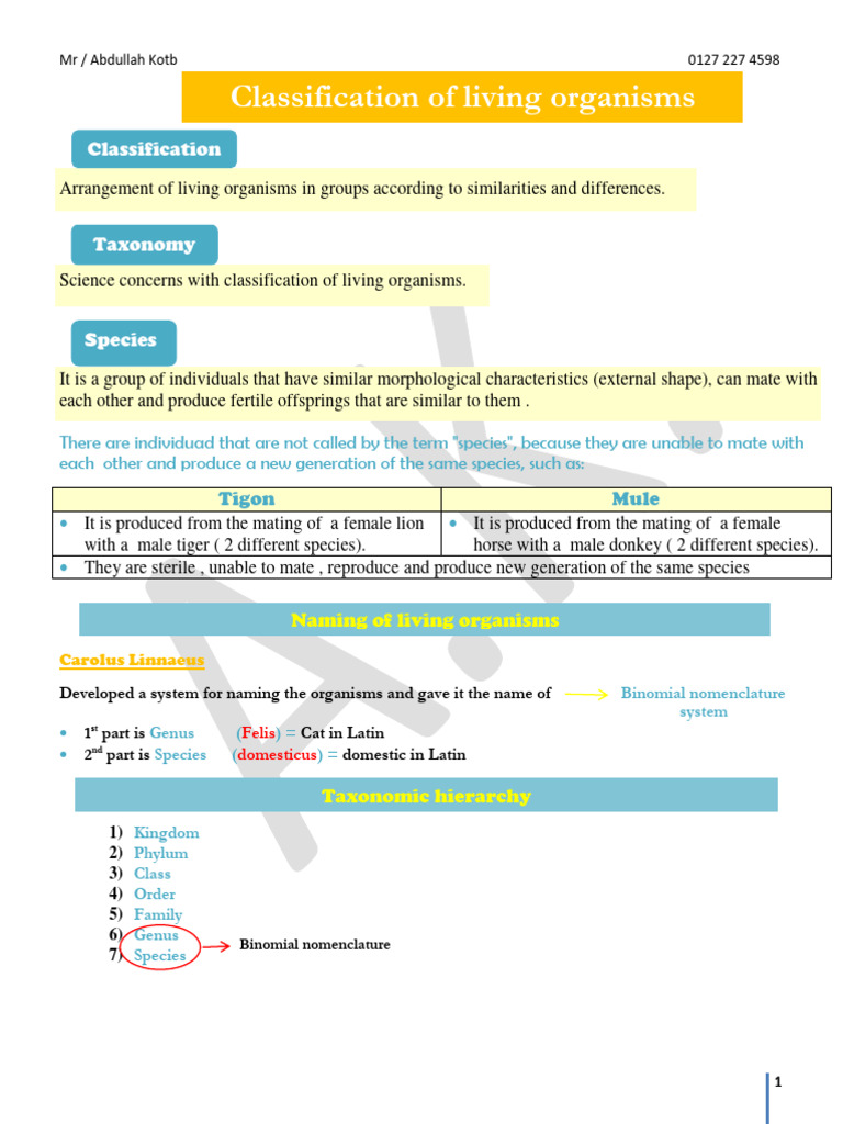 Classification of Living Organisms | Download Free PDF | Cell (Biology ...