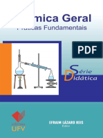 Química Geral Práticas Fundamentais (Caderno Didático) (Portuguese Edition) (Efraim Lázaro Reis)