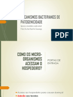 Mecanismos Bacterianos de Patogenicidade: Agravos e Imunidade e Saúde Animal Profa. Dra. Ana Paula Vaz Cassenego