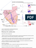 Lam 57 S. Conduccion y Electrocardiograma