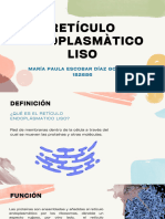 Retículo Endoplasmàtico Liso