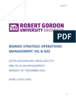 Nile Petroleum Corporation Operation Management Issues