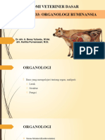 Anatomi Veteriner Dasar (D3) - 09. Praktikum Organologi Ruminansia