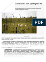 Impactos Ambientais Causados Pelo Agronegócio No Brasil