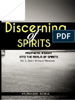 Discerning of Spirits by Munashe Soka, Prophetic Insight Into The