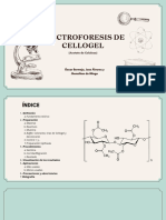 ELECTROFORESIS DE CELLOGEL (Jose Álvarez, Óscar Bermejo y Jhonathan de mingo)