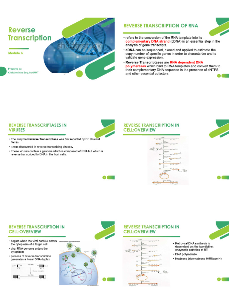 Module 6 | PDF