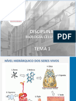 Aula Tema 1 - Biomoléculas