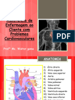 Assistencia de Enfermagem Problemas Cardiovasculares