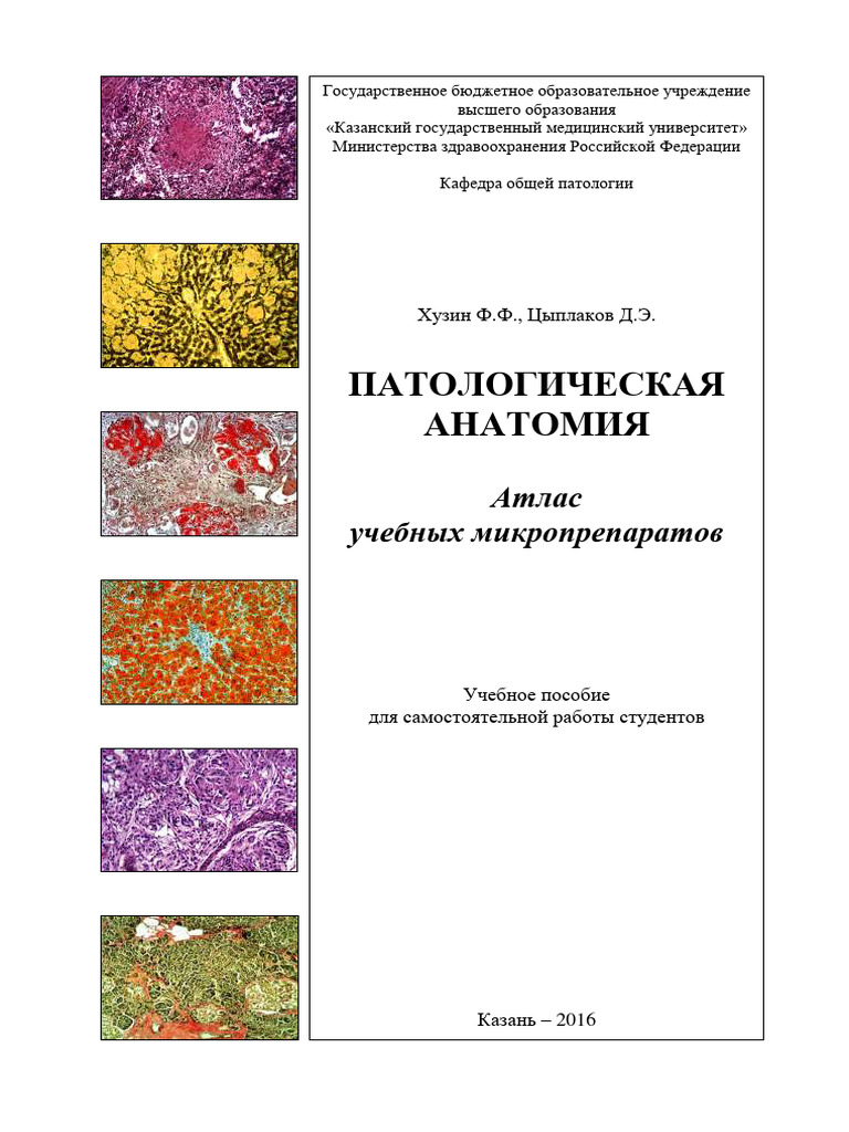 Atlas | PDF