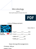 Lecture 3 Observing Microorganisms Through A Microscope