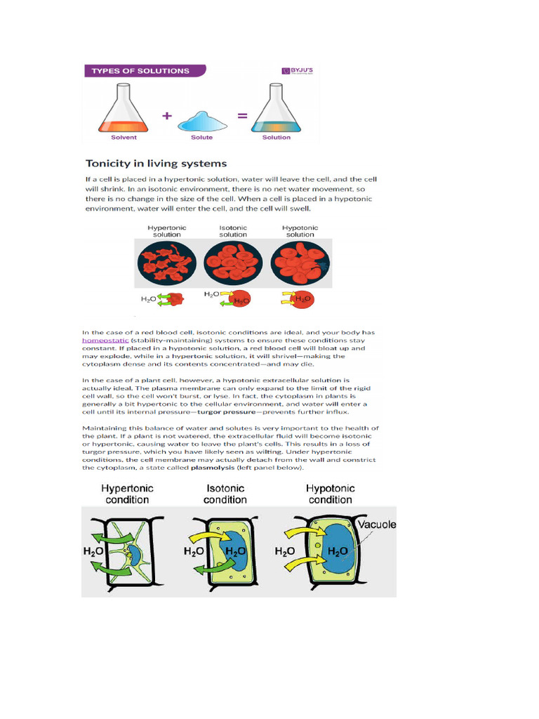 Type of Solution | PDF