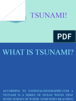 Impact of Tsunami