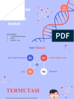 Mutasi Kromosom Tomat Keompok 2