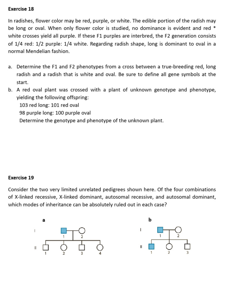 Radish and Animal Genetics Exercises | PDF | Home & Garden | Classics