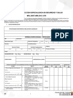 FORMATO INSPECCION SSO MDT