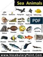 List of Sea Animals With Pictures PDF