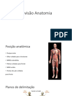 Revisão Anatomia Educa