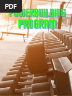 David Laid DUP Workout Program Guide | PDF | Recreation | Games Of ...