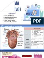 GRUPO 1_SISTEMA DIGESTIVO I