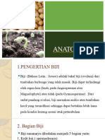 Pert 15 Biji