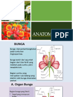 Pert 13 Bunga (Flos)