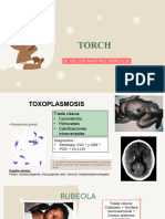 Cromosomopatías + Torch + Cardiopatias