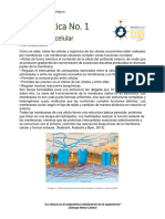 Práctica No - 1 - 3ra Unidad - Transporte de Nutrientes - 4tos-2023