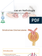 5 Sindromes Glomerulares Part 1