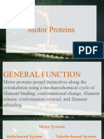 Motor Proteins - Mauna