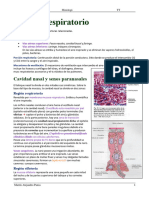 UABP 4. Sistema Respiratorio