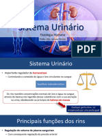 6-REVISAO-Fisiologia Do Sistema Urinario