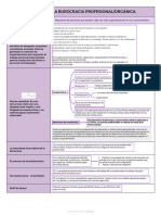 Capítulo 10 - La Burocracia Profesionalorgánica. P1