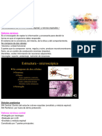 1teoricos de Anatomia 2020 EUTM1