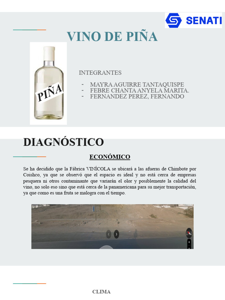 Vino de Piña | PDF | Mercado (economía) | Vino