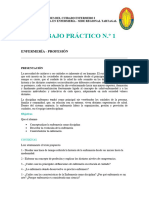 TRABAJO PRACTICO #1 Enf - Profesión