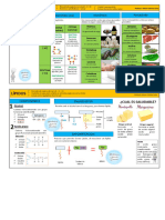Glucido y Lipidos