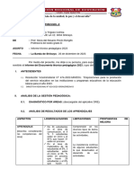 Modelo de Informe Anual