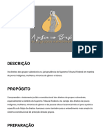 Tema 2 - A Justiça No Brasil e Os Grupos Vulneráveis