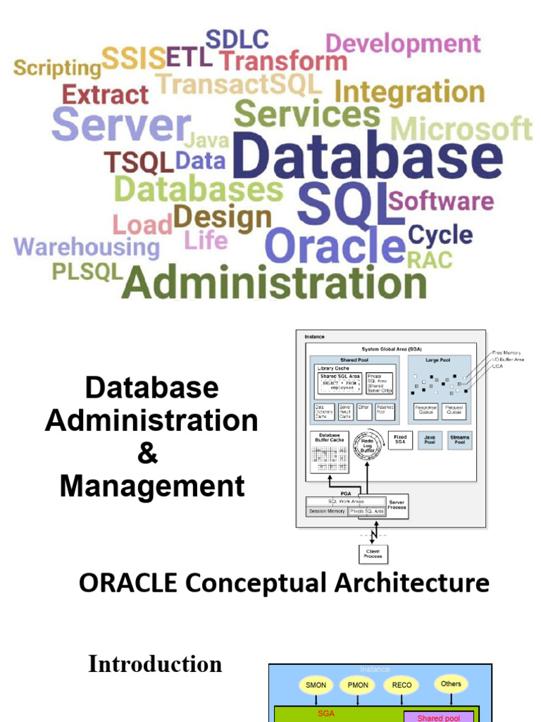 Lecture 05 ORACLE Architecture | PDF | Cache (Computing) | Databases