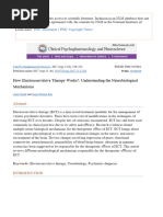 How Electroconvulsive Therapy Works - Understanding The Neurobiological Mechanisms - PMC