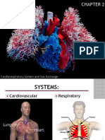 Ch 2 - Cardiorespiratory System and Gas Exchange (1)