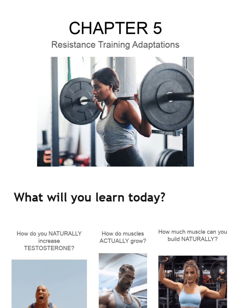 CH 5 SP24 Resistance Training Adaptations PDF Skeletal Muscle